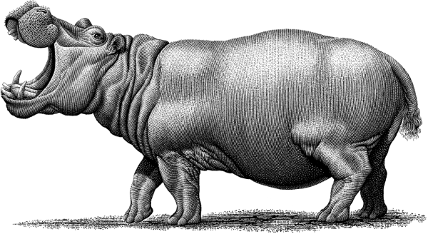 Майкл Халберт