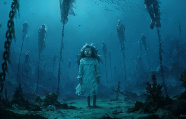 Стефан Коидл картины