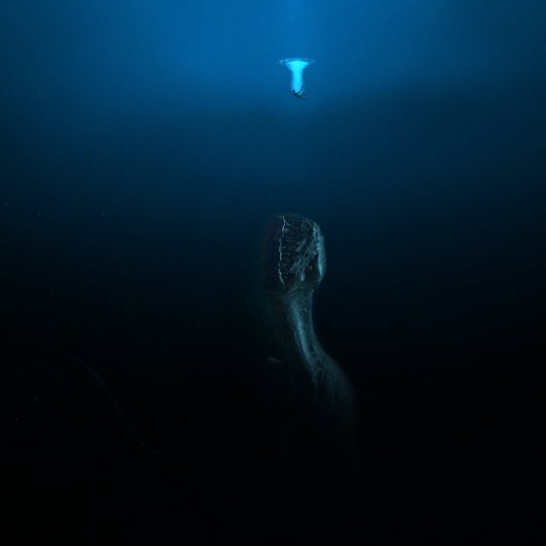 Фобия боязнь глубины океана