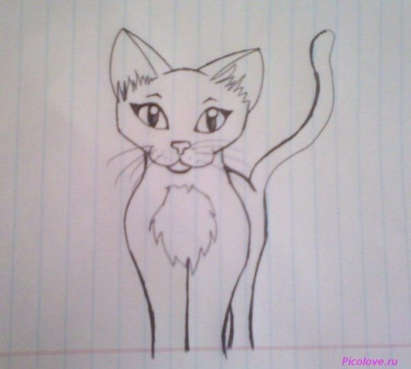 Легкие рисунки на альбомном листе