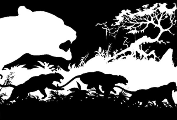 Черно белые силуэты природы