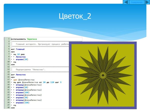 Программа кумир черепаха