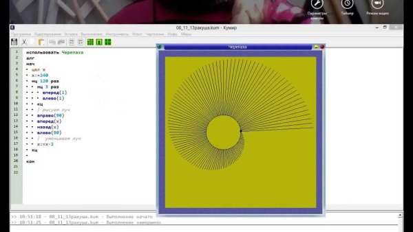 Программа кумир черепаха