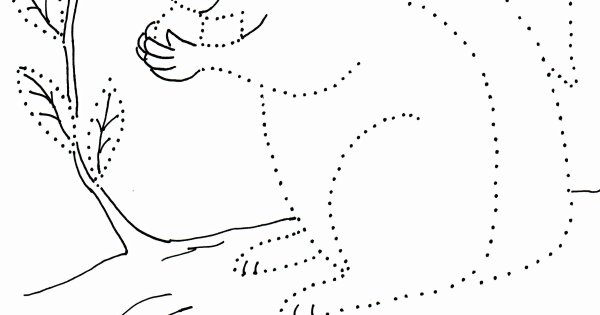 Обведи по точкам Дикие животные