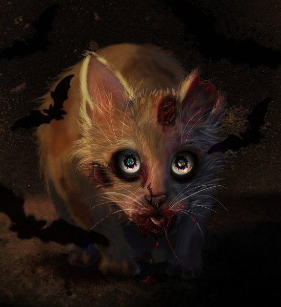 Крипи Кэт кошка крипипаста