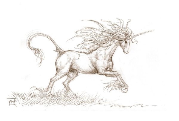 Красивый Единорог карандашом