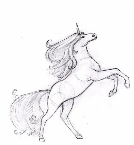 Лошадь для срисовывания