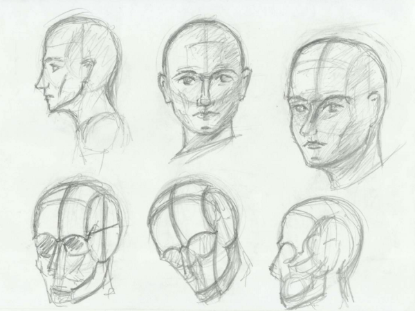 Построение головы человека сбоку