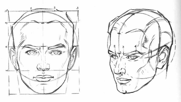 Голова в перспективе