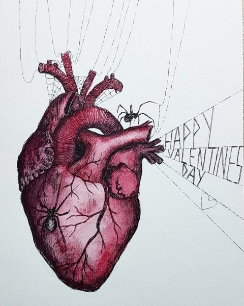 Сердце в паутине