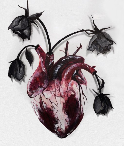 Окровавленное человеческое сердце