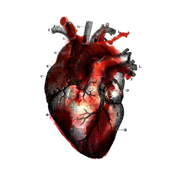 Разбитое сердце