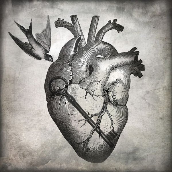 Разбитое сердце