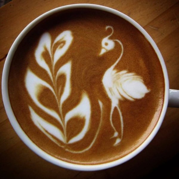Роза латте арт