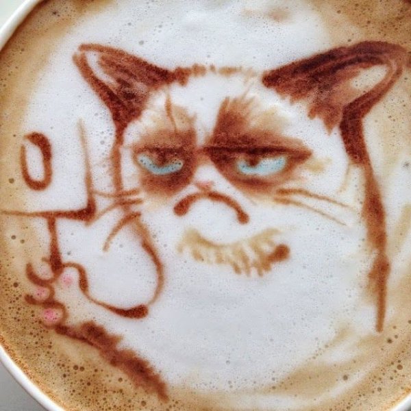 Кот с кофе рисунок