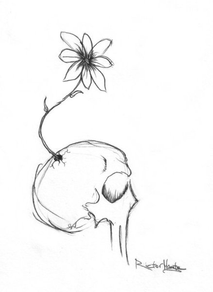 Страшный цветок рисунок