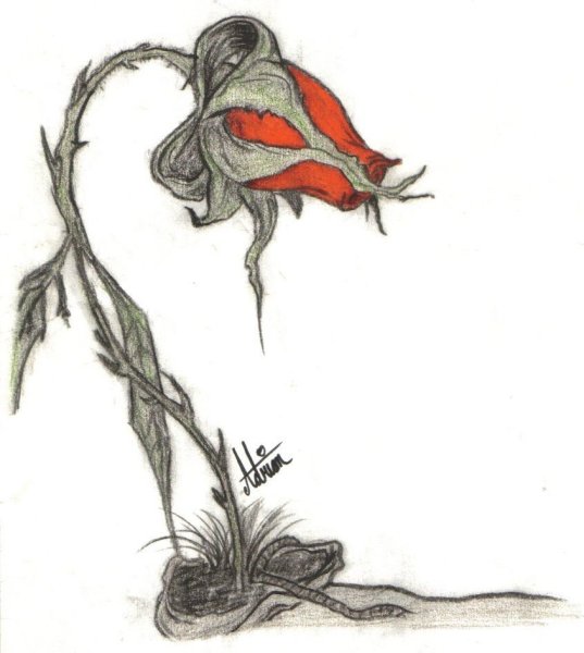 Жуткие цветы рисунок