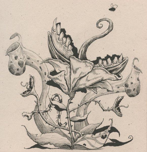 Череп с цветами арт