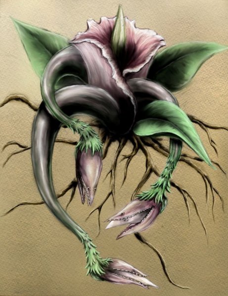 Венерина мухоловка монстр