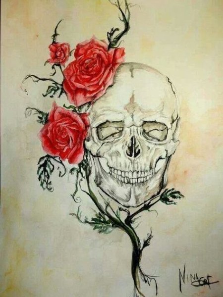 Венерина мухоловка vyjcnh