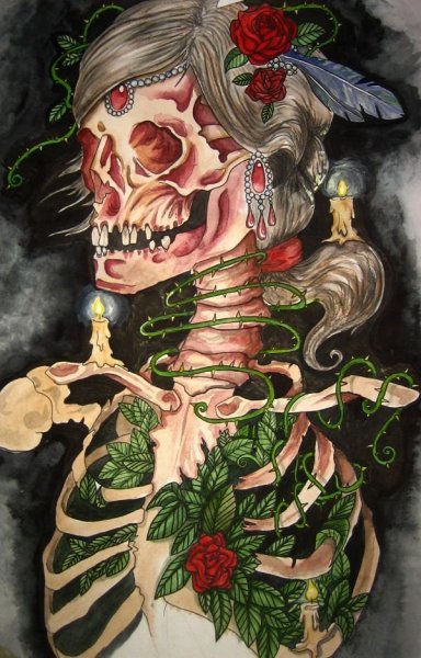 Хищное растение Венерина мухоловка