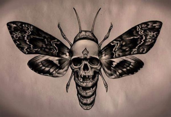 Бражник бабочка мертвая голова тату