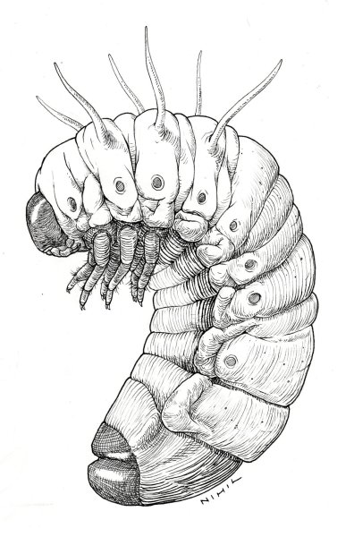 Мерзкие арты насекомых