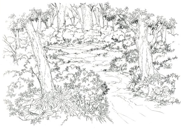 Лес рисунок