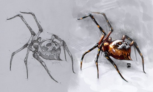 Стилизованные пауки