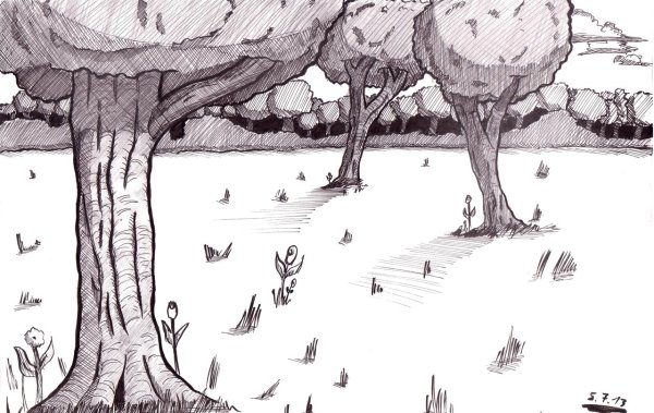 Лес иллюстрация