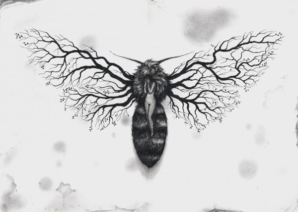 Шелкопряд тату эскиз