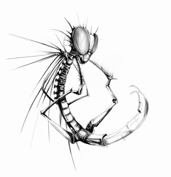 Комар эскиз