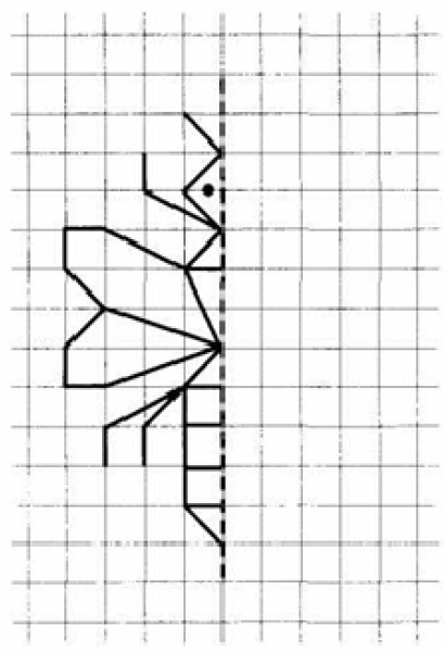 Симметрия для дошкольников