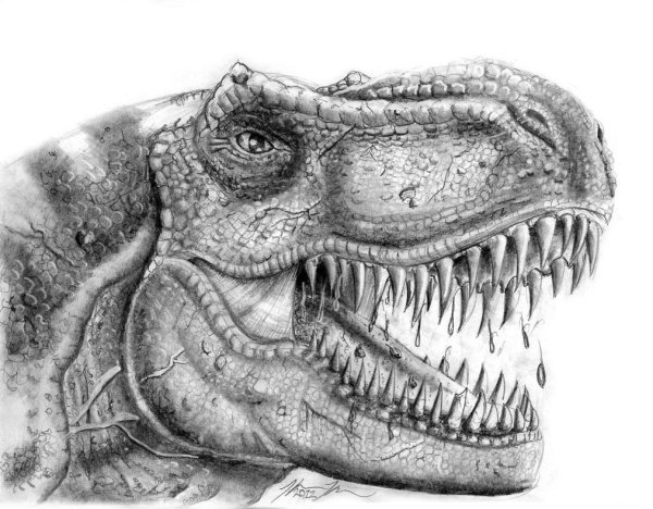 Динозавры арт карандашом
