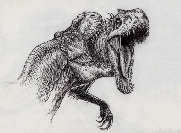 Tyrannosaurus Rex vs Indominus Rex Art