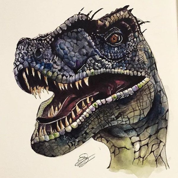 Глаз раптора