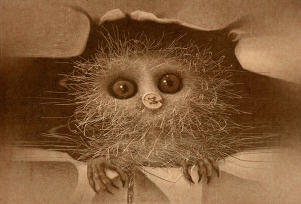 Джон Кенн Мортенсен монстры