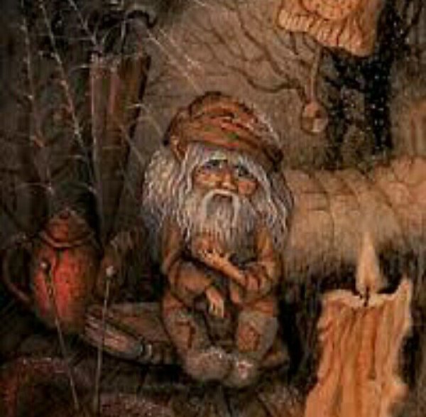 Куйгорож Мордовский Домовой