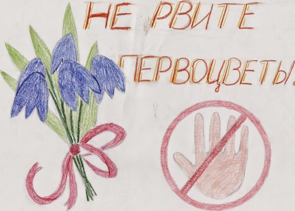 Фразеологизмы рисунки