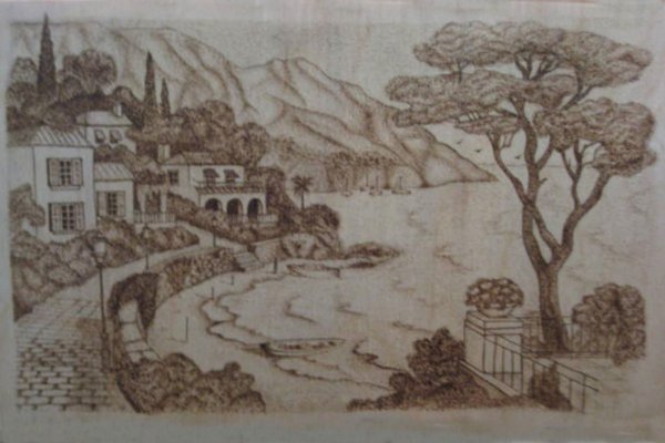 Выжигание по дереву природа