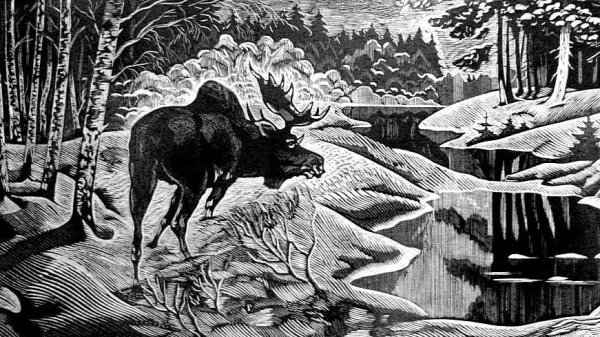 Тайга на линогравюре