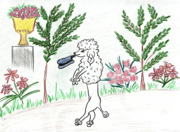 Пудель карандашом