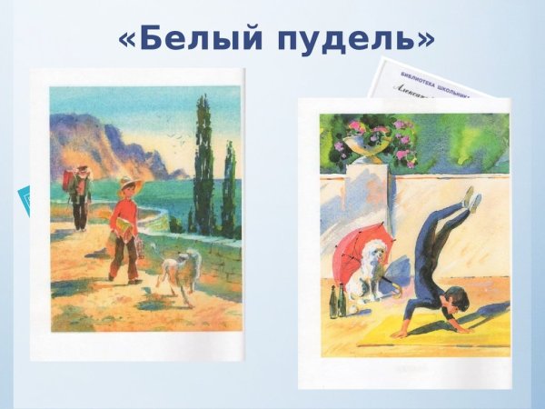 Иллюстрации к белому пуделю Куприна