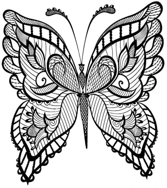 Раскраски антистресс бабочки