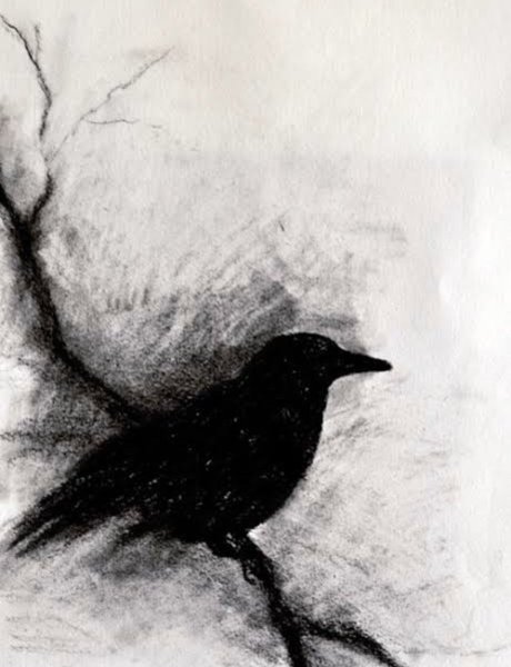 Рисунки углем для начинающих