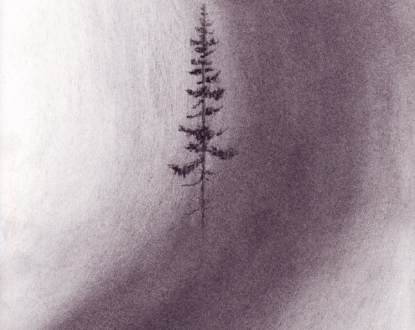 Рисунки углем для начинающих