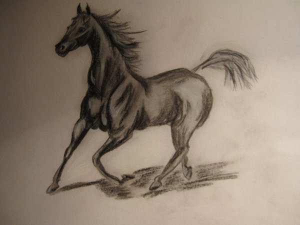 Уголь для рисования