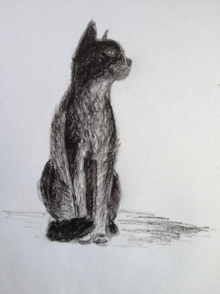 Рисунки углем