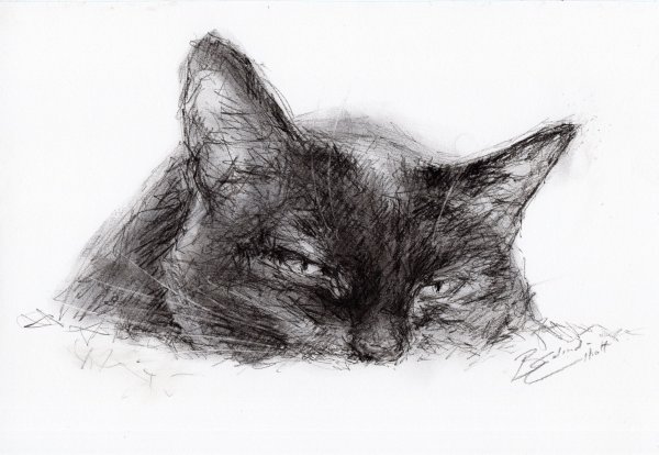 Уголь для рисования