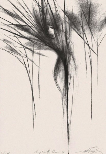 Красивые рисунки углем для начинающих